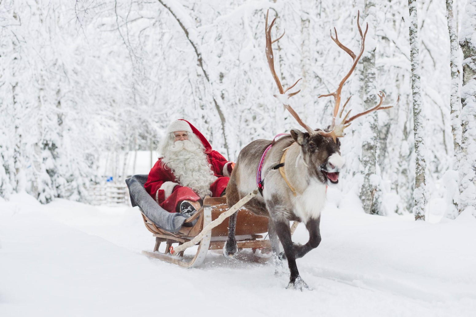 salla laponia encuentro papa noel 